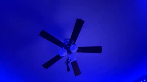 Sexy Lexi online show from 01-12-26, 05:56