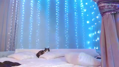 Julia online show from 11-29-25, 07:22