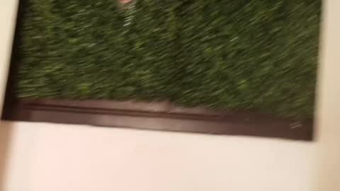 Juli online show from 03-13-26, 12:12