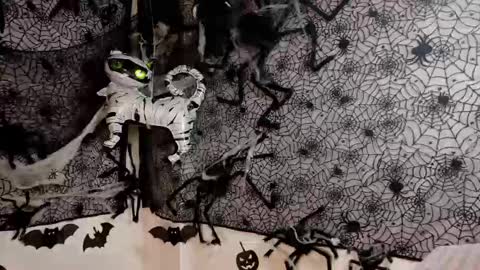 Julietta Jackson online show from 10-09-25, 06:50