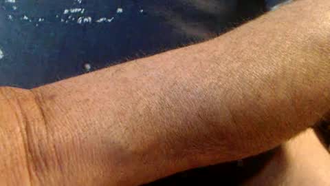 Werner online show from 02-16-25, 04:53