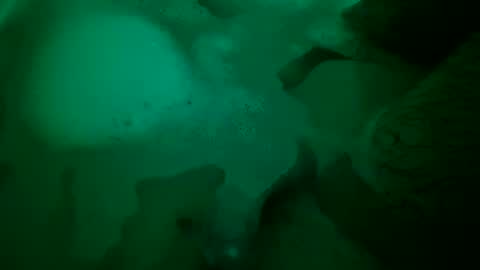 Snapshot of just4funfunfun87 chatting on 12-22-24, 06:48 Yuri online show from 12-22-24, 06:48