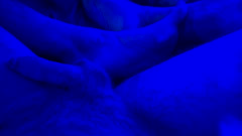 Snapshot of just4funfunfun87 chatting on 01-14-25, 07:59 Yuri online show from 01-14-25, 07:59