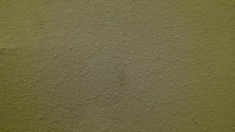 Just marlon online show from 03-03-25, 02:15