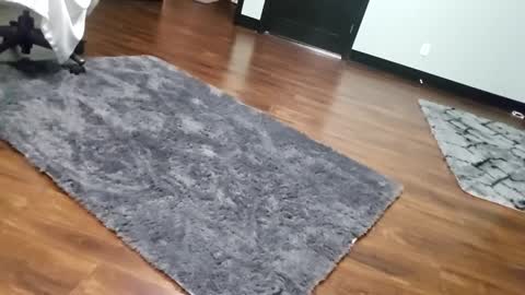 Snapshot of justaskforbiga chatting on 01-15-26, 06:07 Tohiptwoquit online show from 01-15-26, 06:07