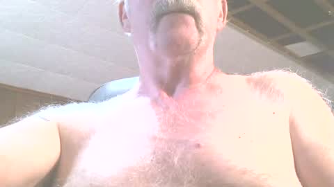 justdon online show from 06-15-26, 02:41