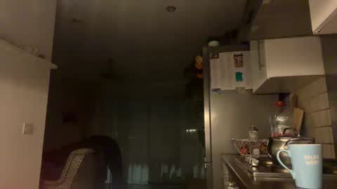 Snapshot of justin_huge chatting on 10-25-25, 04:20 Justin online show from 10-25-25, 04:20