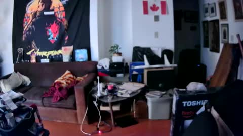 Snapshot of justinelsmith chatting on 02-14-25, 04:47 justinelsmith online show from 02-14-25, 04:47