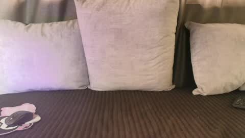 Katt your neighborg online show from 06-14-26, 08:11