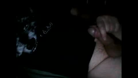 justpervfun online show from 12-08-24, 06:39