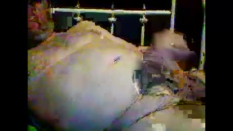 justpervfun online show from 01-15-25, 12:41