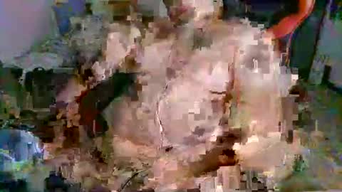 Snapshot of juteja chatting on 09-13-25, 10:20 juteja online show from 09-13-25, 10:20