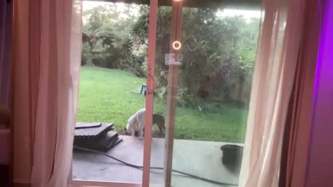 Snapshot of kaileeshy chatting on 01-07-25, 03:46 Kailee Smile online show from 01-07-25, 03:46