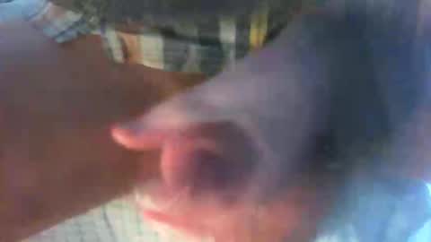 kamabo2 online show from 04-07-26, 05:35