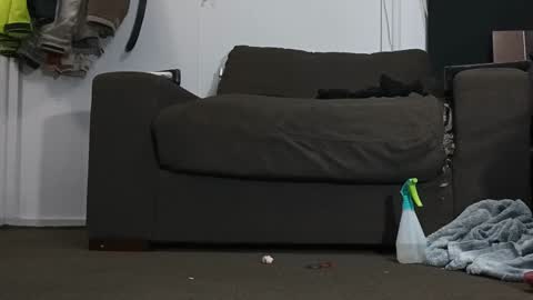 Kandy Dreams online show from 01-17-25, 06:33