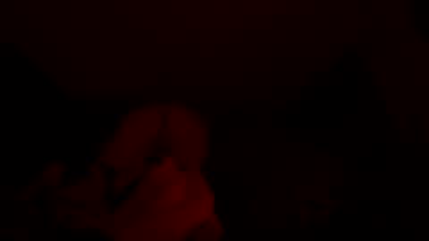 karmakazeee online show from 05-10-26, 08:52