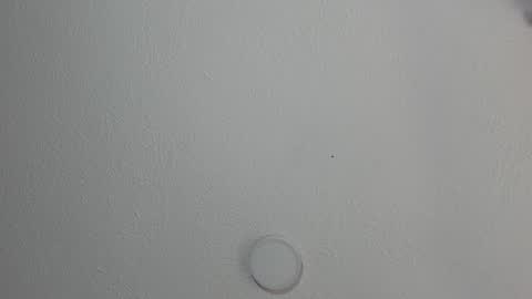 love meeee online show from 01-17-25, 03:32