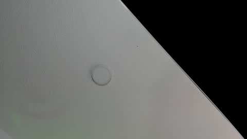 love meeee online show from 02-08-25, 02:27