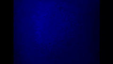 Snapshot of kathyfantasylover chatting on 03-05-25, 10:21 kathy online show from 03-05-25, 10:21