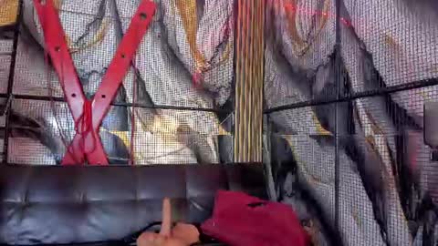 kati online show from 06-11-26, 08:18