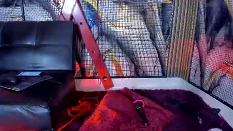 kati online show from 06-18-26, 08:25
