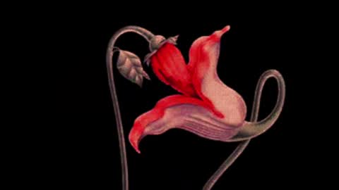 Snapshot of katsurotaro chatting on 03-02-25, 09:11 katsuro online show from 03-02-25, 09:11