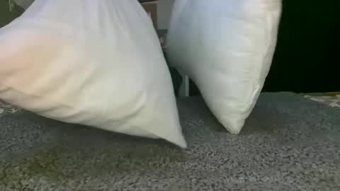 Snapshot of kawaiibabypie chatting on 12-17-24, 12:43 kawaiibabypie online show from 12-17-24, 12:43