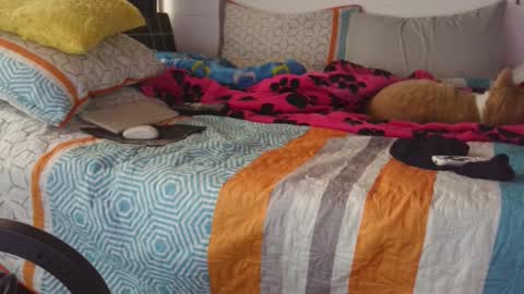 Snapshot of kawit1 chatting on 09-14-25, 12:15 Khawit online show from 09-14-25, 12:15