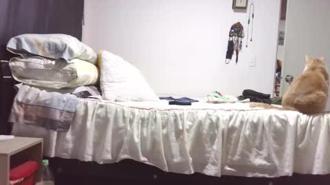 Snapshot of kawit1 chatting on 10-29-25, 12:07 Khawit online show from 10-29-25, 12:07