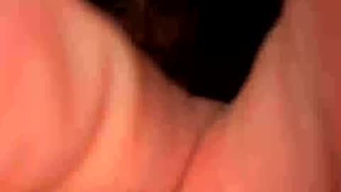 Snapshot of keepquietj chatting on 01-20-25, 05:26 keepquietj online show from 01-20-25, 05:26