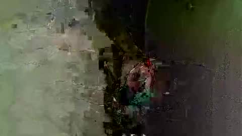 keipi online show from 12-07-24, 12:08