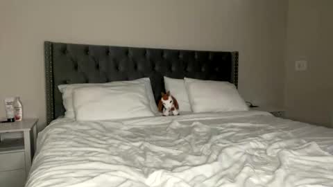 Snapshot of kekeoutlaw chatting on 02-13-26, 02:57 Kekeoutlaw online show from 02-13-26, 02:57