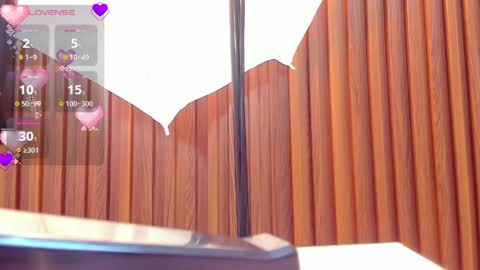    online show from 04-10-26, 12:21