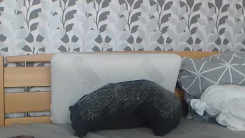 Snapshot of kelywild20 chatting on 07-25-26, 07:06 kelywild20 online show from 07-25-26, 07:06