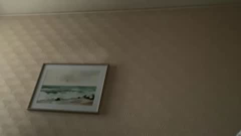 khelt online show from 02-06-26, 01:47