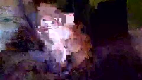 Snapshot of khrisdavis63 chatting on 10-21-25, 03:18 Khristopher Davis online show from 10-21-25, 03:18