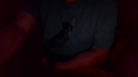 jesse444 cum show online show from 09-20-25, 10:49