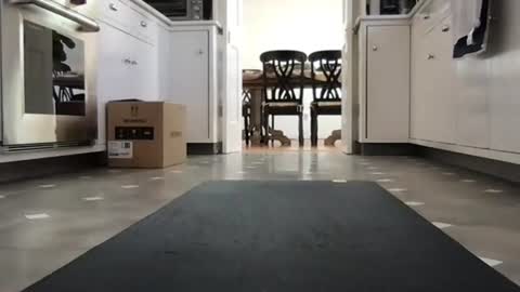 Kicknbutt online show from 02-26-26, 08:52