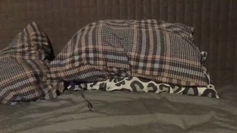 Snapshot of kiki3526 chatting on 11-23-25, 07:35 kiki3526 online show from 11-23-25, 07:35