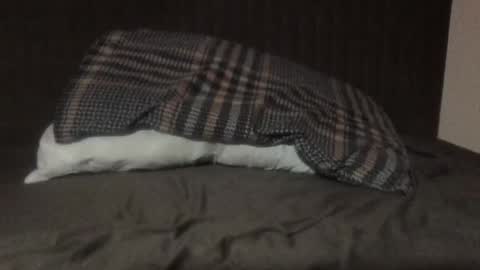 Snapshot of kiki3526 chatting on 03-12-26, 08:48 kiki3526 online show from 03-12-26, 08:48