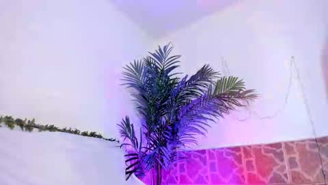 kimberly gonzalez online show from 12-03-24, 09:33