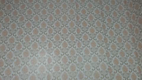 Kimberly online show from 01-30-25, 02:27