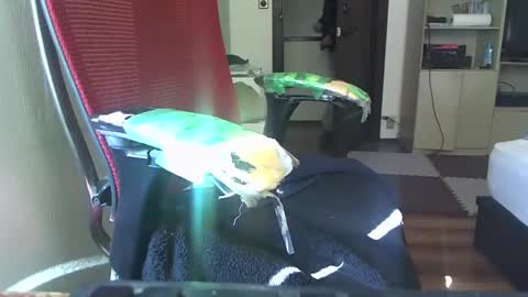 Snapshot of kinchan069 chatting on 02-05-25, 02:08 kinchan069 online show from 02-05-25, 02:08