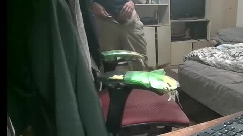 Snapshot of kinchan069 chatting on 11-09-25, 07:50 kinchan069 online show from 11-09-25, 07:50