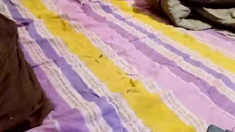 Snapshot of kingbat30 chatting on 03-02-25, 12:42 kingbat30 online show from 03-02-25, 12:42