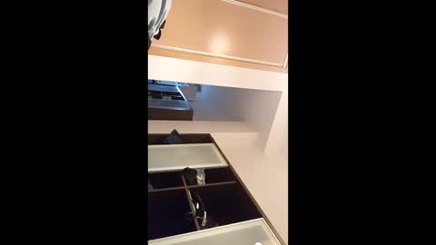 Snapshot of kingnavo chatting on 11-07-25, 05:35 kingnavo online show from 11-07-25, 05:35