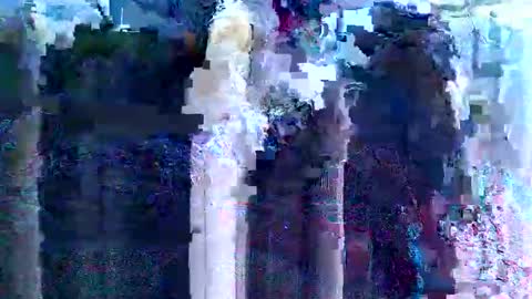 Snapshot of kinkygurl6969ts chatting on 02-17-25, 07:42 KinkySlut4Fun online show from 02-17-25, 07:42