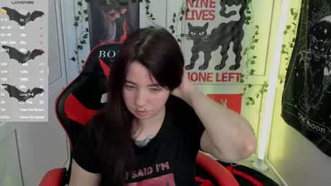 meow online show from 05-22-26, 12:22