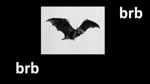 meow online show from 07-30-26, 12:37