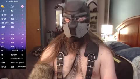 kinkywolf87 online show from 12-21-24, 06:23